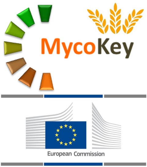 MycoKeyC
