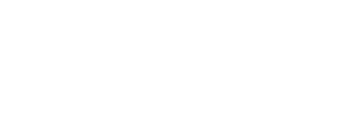 Logo Laviosa
